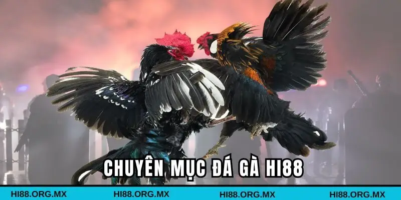 Tổng quan chung về chuyên mục đá gà Hi88